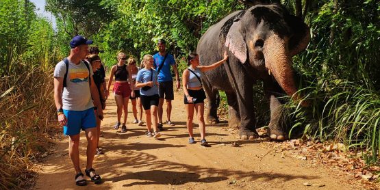 habarana , sigiriya Sri lanka